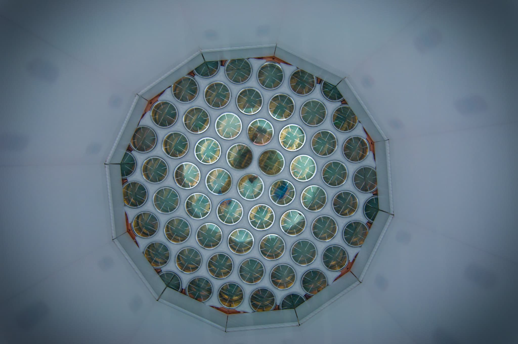 Inside the xenon TPC — the top array of 61 photomultiplier tubes. Photo: C.H. Faham / LUX Dark Matter Experiment, CC BY-NC-ND 2.0